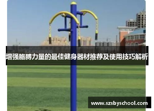 增强胳膊力量的最佳健身器材推荐及使用技巧解析