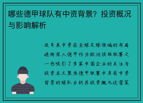 哪些德甲球队有中资背景？投资概况与影响解析